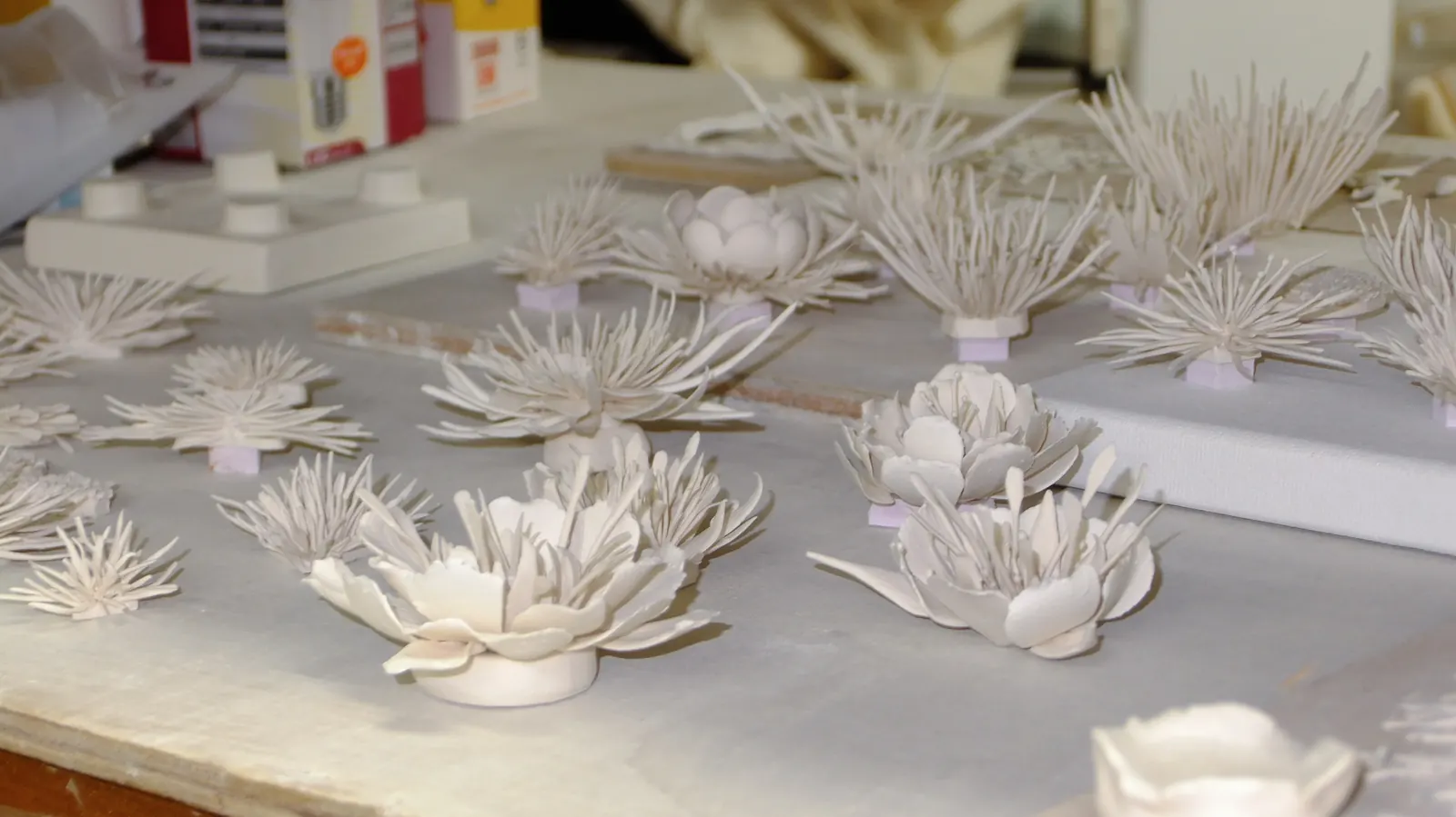 Pottery archive 5