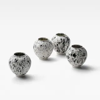 Dalmatian 썸네일