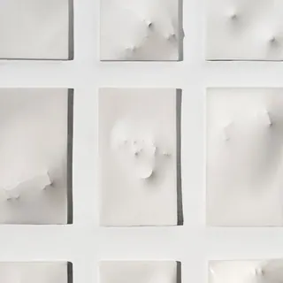 박제 썸네일